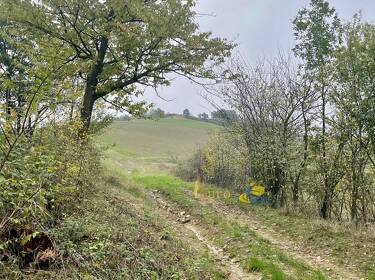 foto principale del terreno