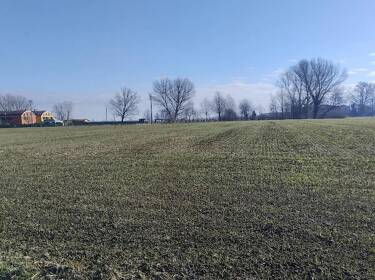 foto principale del terreno