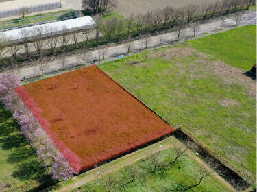 foto principale del terreno