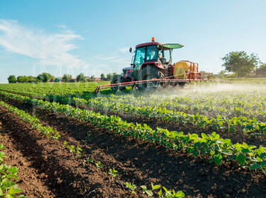 foto principale del terreno