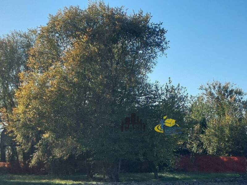 casa indipendente in vendita a Sorbolo Mezzani in zona Sorbolo