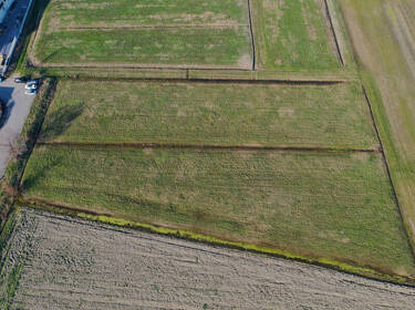 foto principale del terreno