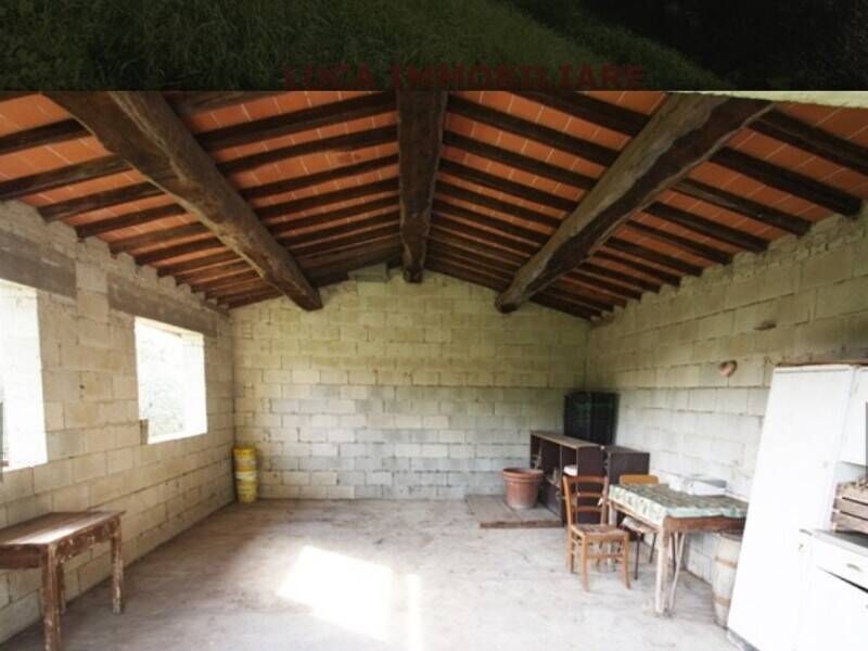 foto principale del terreno