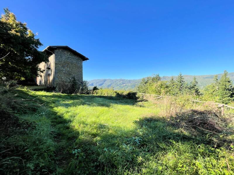 foto principale del terreno