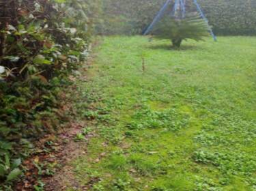 foto principale del terreno