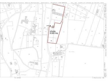 foto principale del terreno