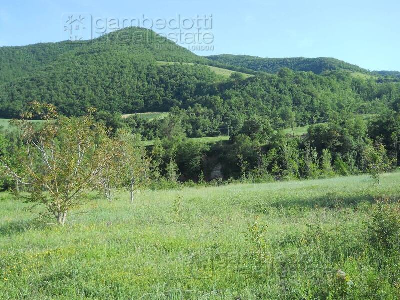 foto principale del terreno