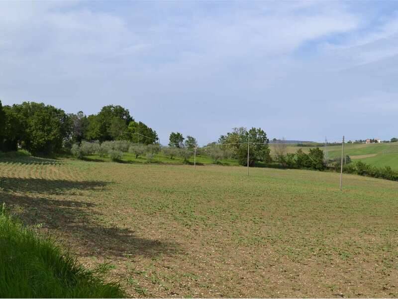 foto principale del terreno
