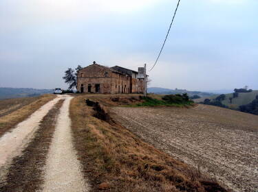 foto principale del terreno