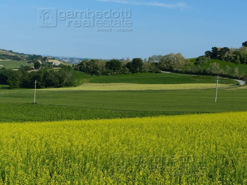 foto principale del terreno