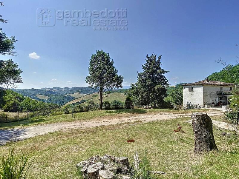 foto principale del terreno