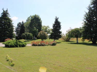 foto principale del terreno