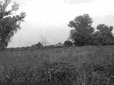 foto principale del terreno