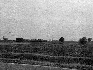 foto principale del terreno