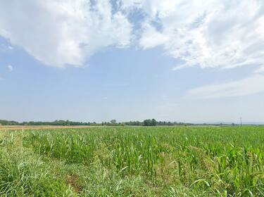 foto principale del terreno