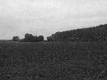 foto principale del terreno