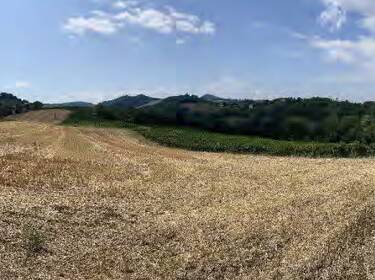 foto principale del terreno