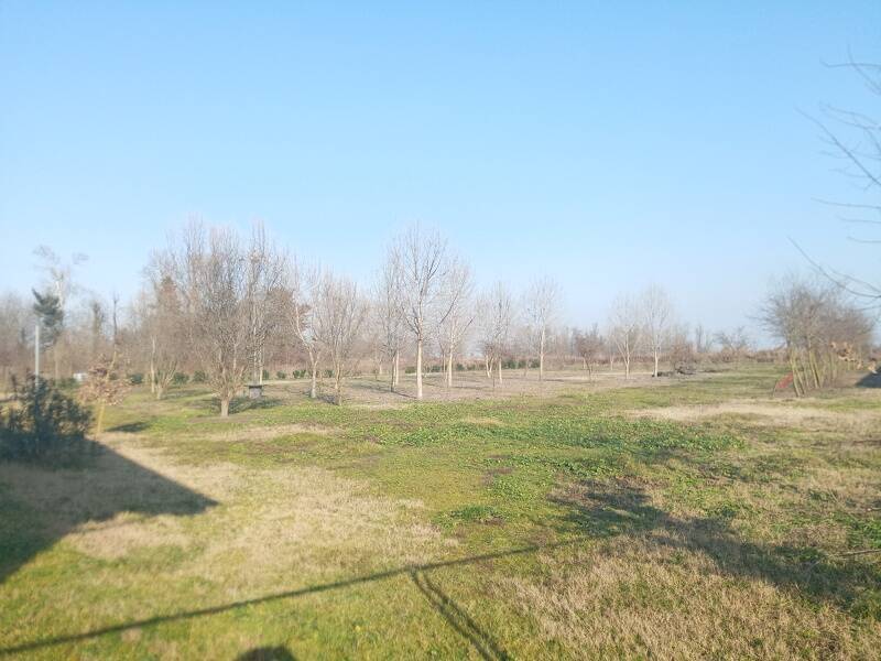 foto principale del terreno