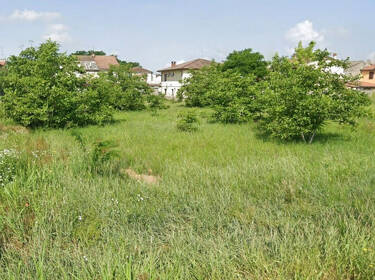 foto principale del terreno