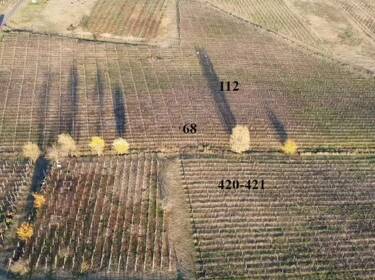 foto principale del terreno