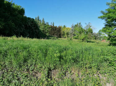 foto principale del terreno