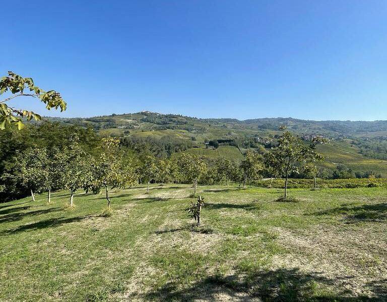 immagine annuncio 1 di 4