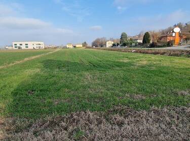 foto principale del terreno