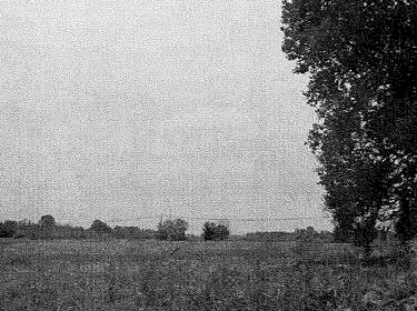 foto principale del terreno