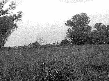 foto principale del terreno