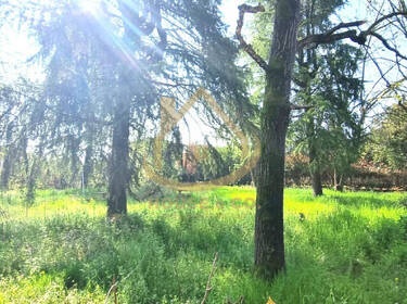 foto principale del terreno