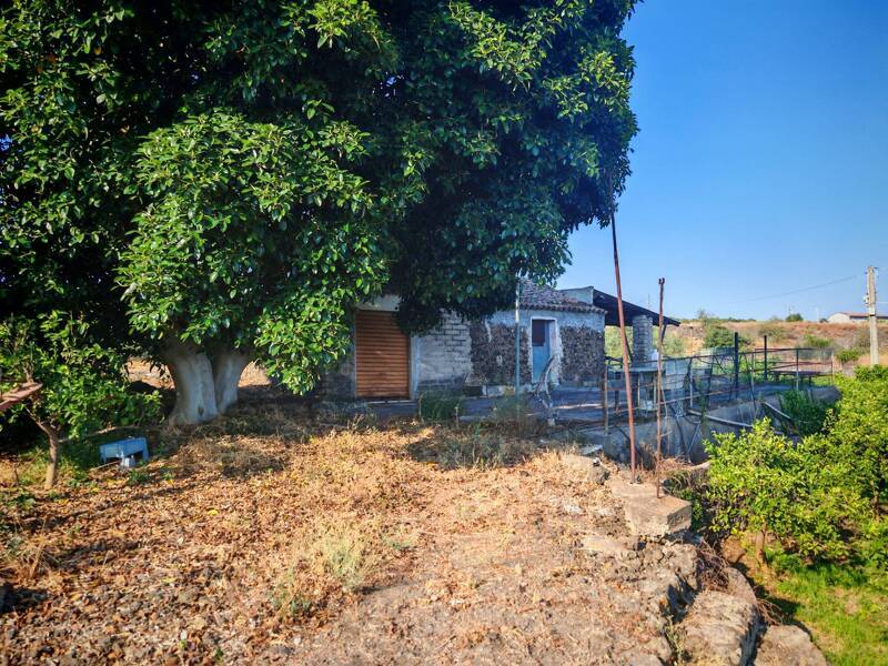 foto principale del terreno