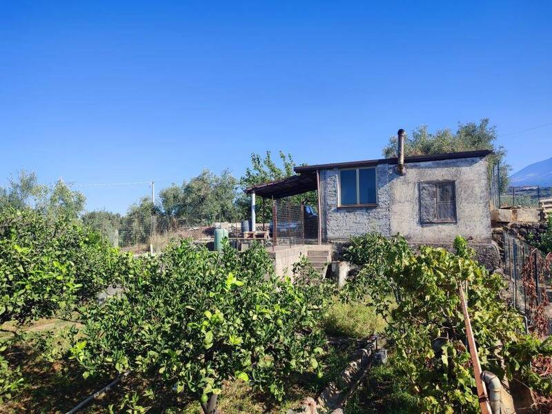 foto principale del terreno