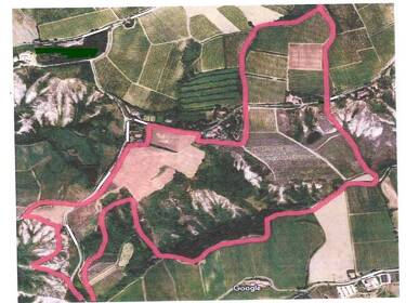 foto principale del terreno