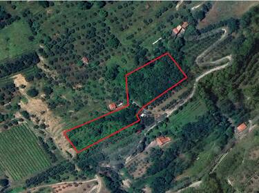 foto principale del terreno