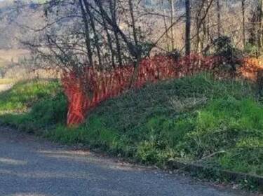 foto principale del terreno