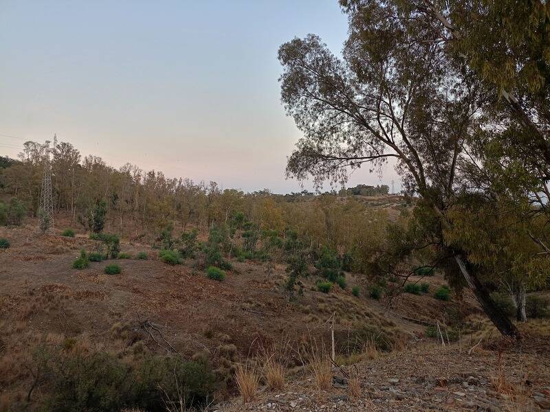 foto principale del terreno