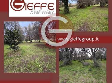 foto principale del terreno