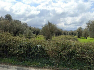 foto principale del terreno