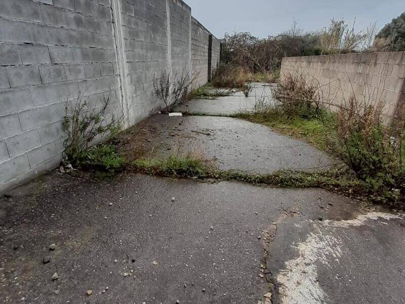 foto principale del terreno