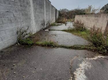 foto principale del terreno