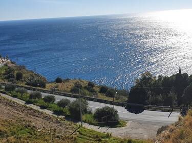 foto principale del terreno