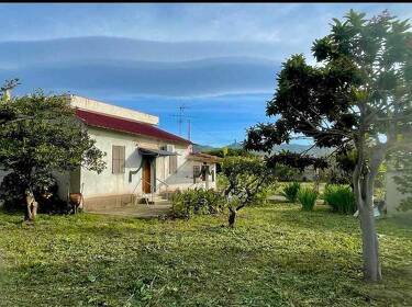 foto principale del terreno