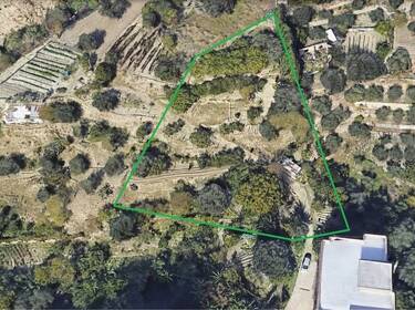 foto principale del terreno