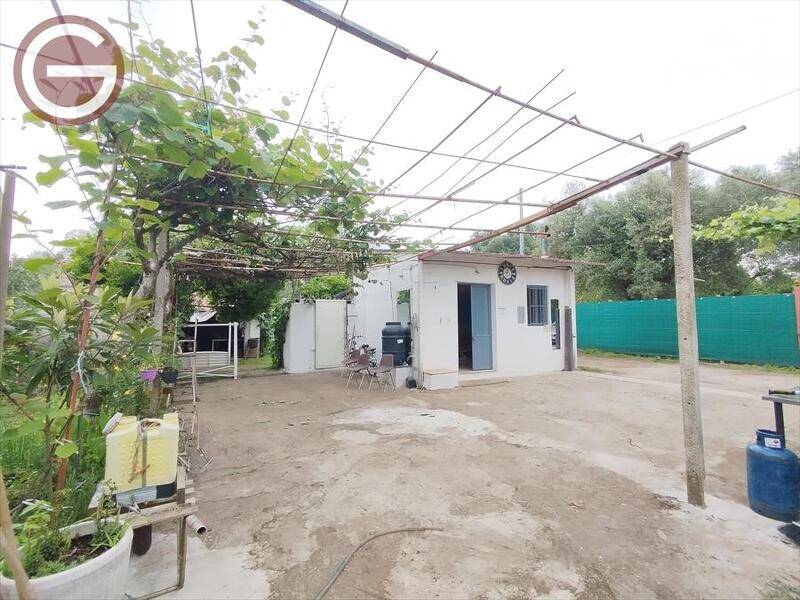 foto principale del terreno