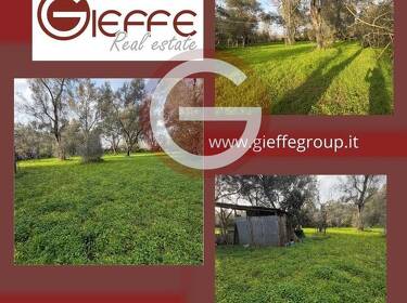 foto principale del terreno