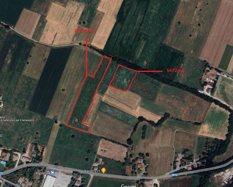 foto principale del terreno