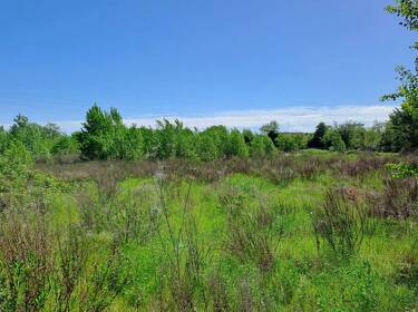 foto principale del terreno