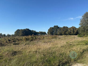 foto principale del terreno