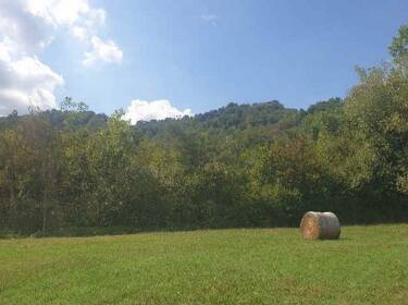 foto principale del terreno