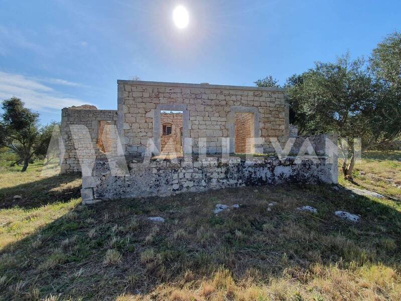 foto principale del terreno